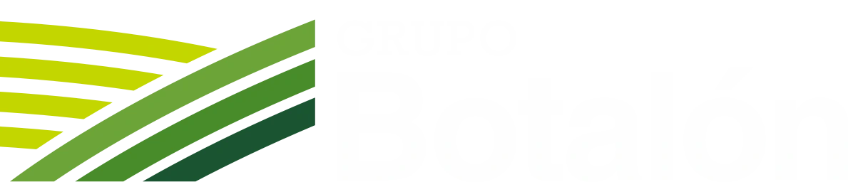 Marca 26
